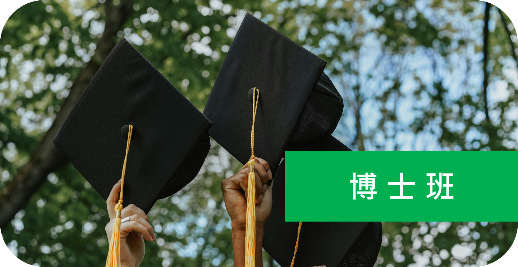 博士班招生